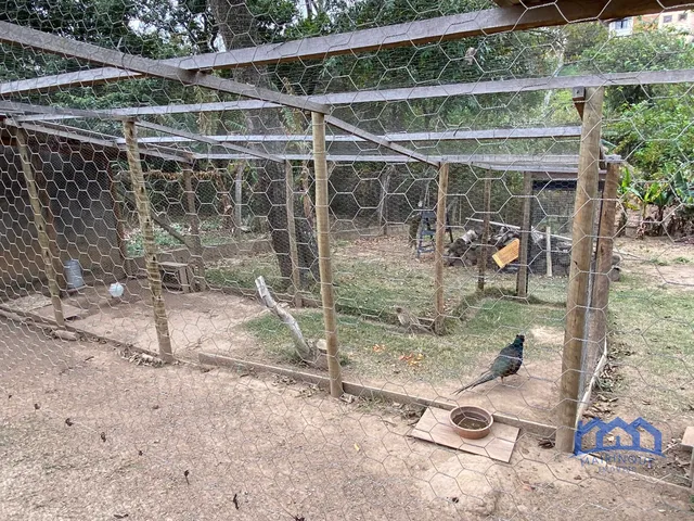 Imagem 10: Chácara com 4 Quartos e 2 Banheiros À Venda, 3.500 M² por R$ 700.000 Cód. Ch2470