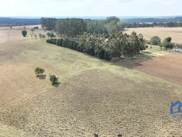 Imagem: Sítio/Fazenda À Venda, 10,15 Alqueires