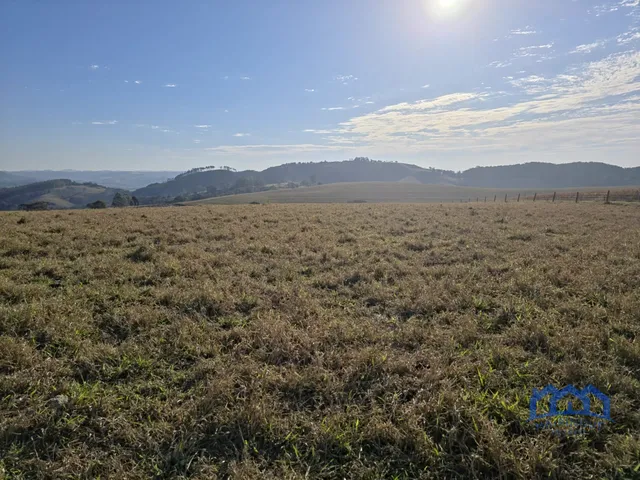 Imagem: Sítio/Fazenda à Venda, 70,49 alqueires