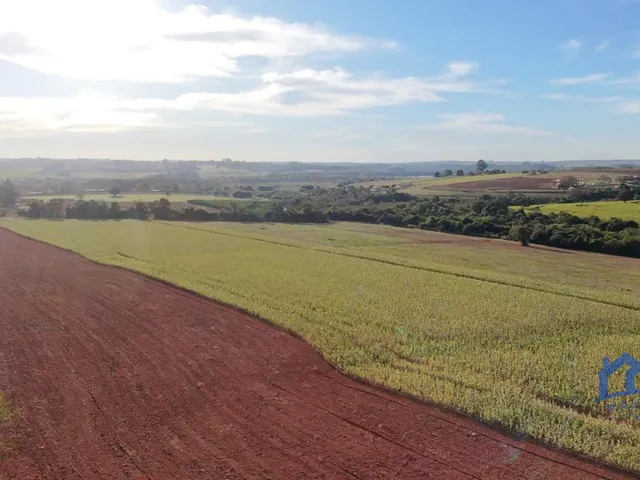 Imagem: Sitio/Fazenda À Venda, 11 Alqueires por
