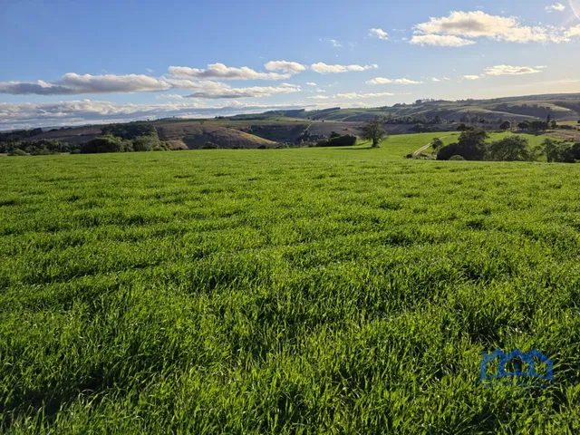 Imagem: Sitio/Fazenda à Venda, 48 alqueires por