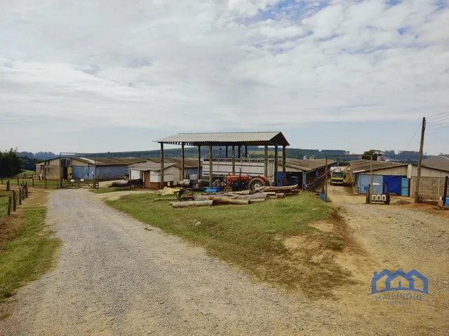 Imagem 16: Sítio/Fazenda à Venda, 23,8 alqueires por R$ 8.000.000 Cód. ch2338