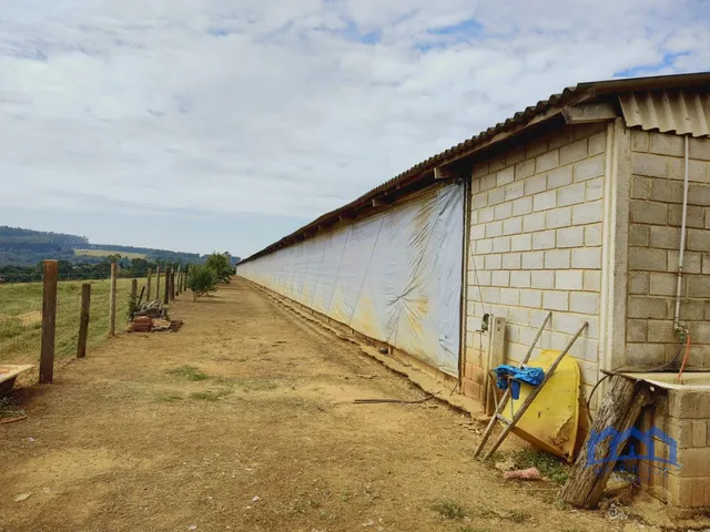 Imagem 13: Sítio/Fazenda à Venda, 23,8 alqueires por R$ 8.000.000 Cód. ch2338