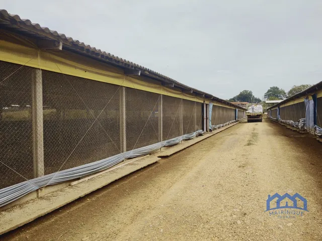 Imagem 5: Sítio/Fazenda à Venda, 23,8 alqueires por R$ 8.000.000 Cód. ch2338