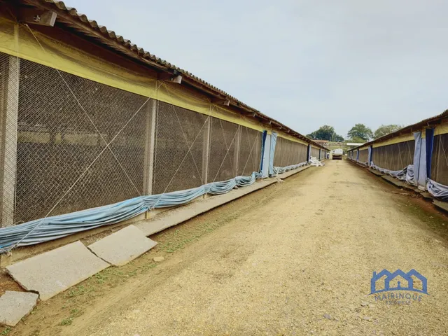 Imagem 4: Sítio/Fazenda à Venda, 23,8 alqueires por R$ 8.000.000 Cód. ch2338