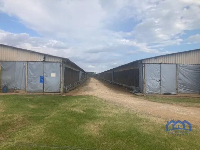 Imagem 15: Sítio/Fazenda à Venda, 23,8 alqueires por R$ 8.000.000 Cód. ch2338