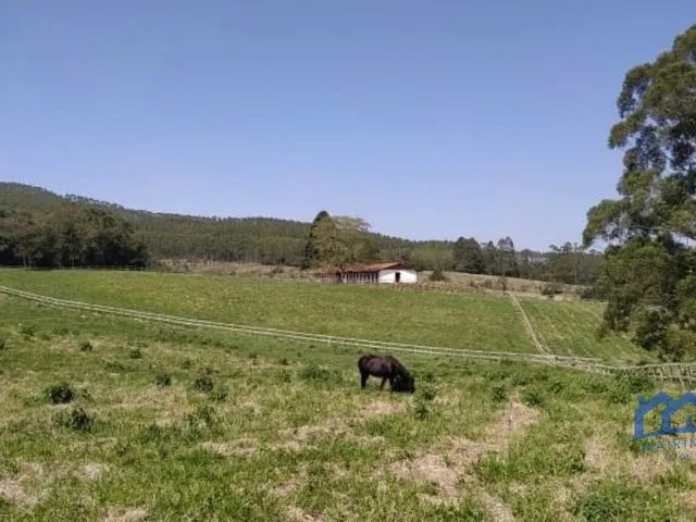 Imagem: Sitio/Fazenda À Venda, 23 Alqueires por