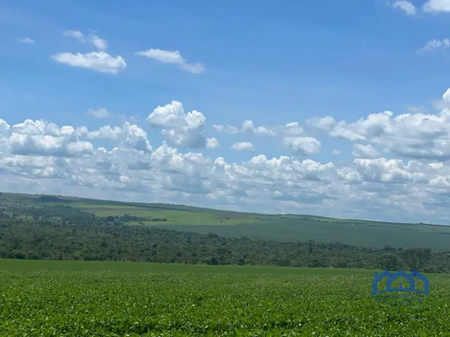 Imagem: Sítio/Fazenda à Venda, 413 alqueires por