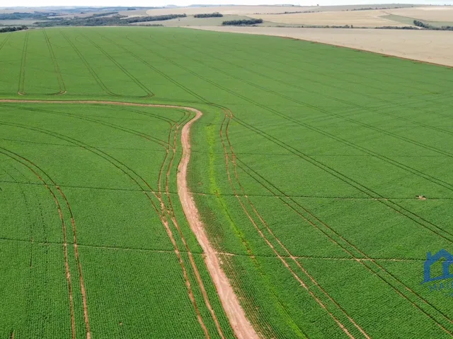 Imagem: Sítio/Fazenda À Venda, 690 Alqueires por