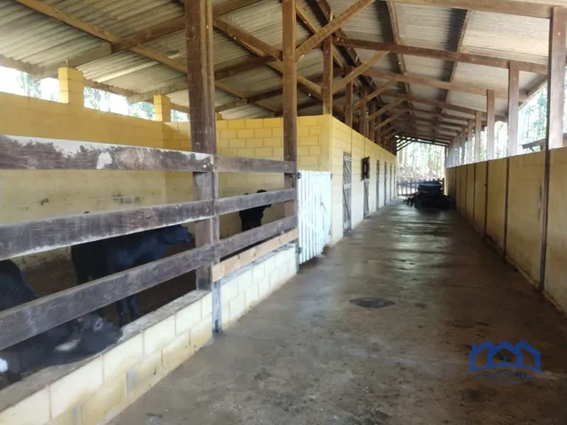 Imagem 14: Fazenda com 6 Quartos e 12 Banheiros, 193.600 M² por R$ 6.000.000 Cód. Ch1888
