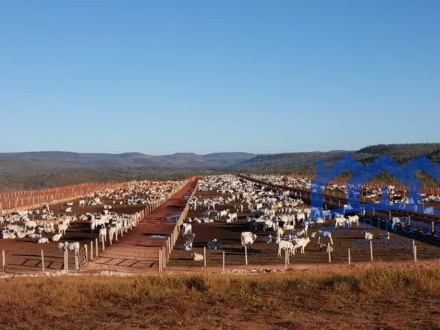 Imagem 12: Sítio/Fazenda à Venda, 600 alqueires por R$ 45.000.000 Cód. ch1743