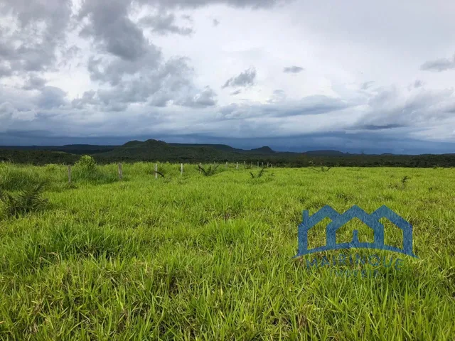 Imagem 2: Sítio/Fazenda à Venda, 600 alqueires por R$ 45.000.000 Cód. ch1743
