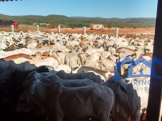 Imagem 6: Sítio/Fazenda à Venda, 600 alqueires por R$ 45.000.000 Cód. ch1743
