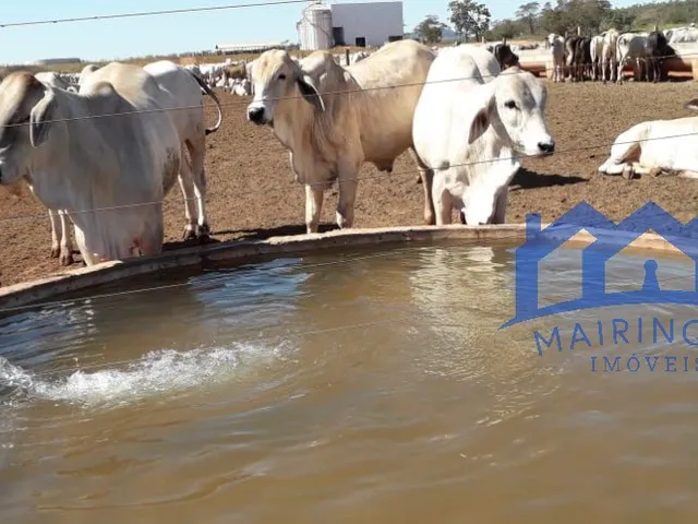 Imagem 3: Sítio/Fazenda à Venda, 600 alqueires por R$ 45.000.000 Cód. ch1743