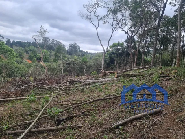 Imagem: Terreno À Venda, 3.200 M² por R$ 450.000