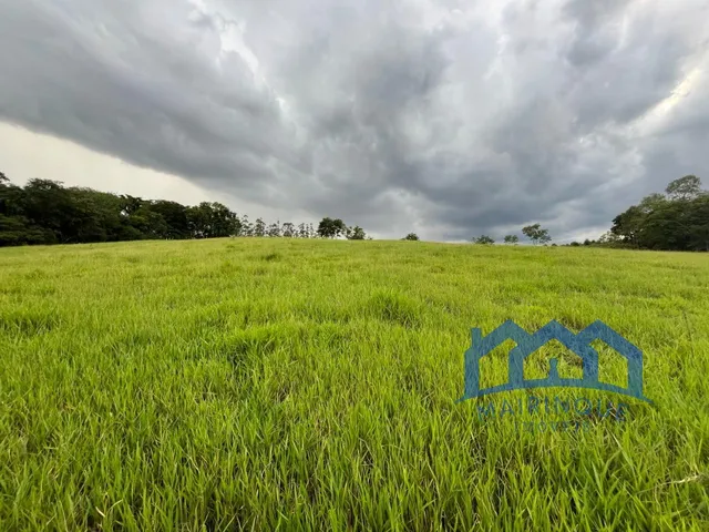 Imagem: Sítio/Fazenda à Venda, 4 alqueires por