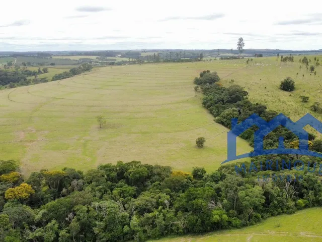 Imagem: Sítio/Fazenda à Venda, 74 alqueires por