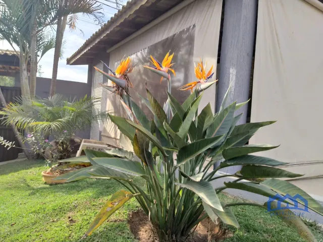 Imagem 8: Chácara com 3 Quartos e 2 Banheiro À Venda, 1.000 M² por R$ 649.000 Cód. Ch742