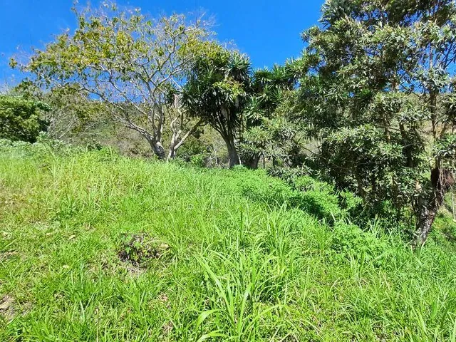 Imagem 2: Lote de Terreno em Condomínio, Venda na Tijuca Teresópolis