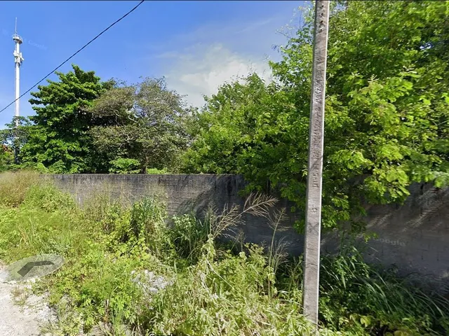 Imagem 4: Terreno Eusebio 9583M2 Proximo a Faculdade Christus