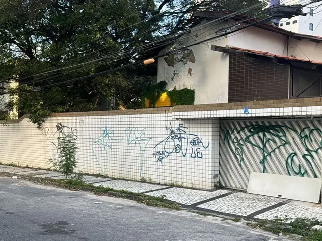 Imagem: Excelente opção para locação em área