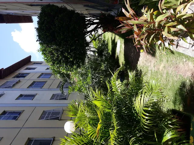 Imagem 4: Apartamento de 50m² com 2 quartos em Messejana