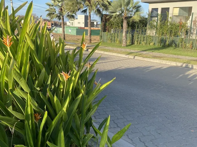 Imagem 12: Lote próximo a portaria e lazer com preço de oportunidade R$ 220.000,00