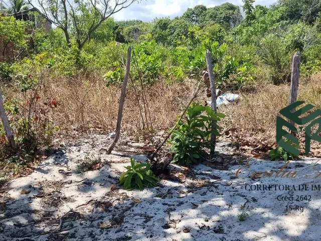 Imagem 5: Vendo Terreno prox a Praia Bella