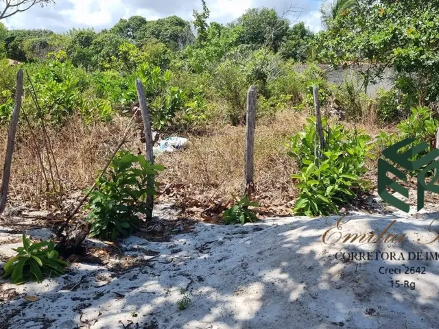 Imagem 7: Vendo Terreno prox a Praia Bella