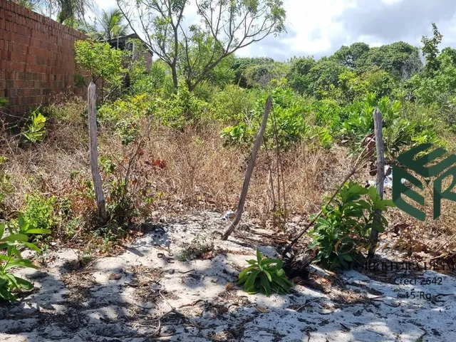 Imagem 4: Vendo Terreno prox a Praia Bella