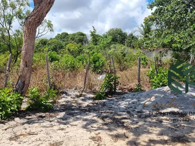 Imagem 2: Vendo Terreno prox a Praia Bella