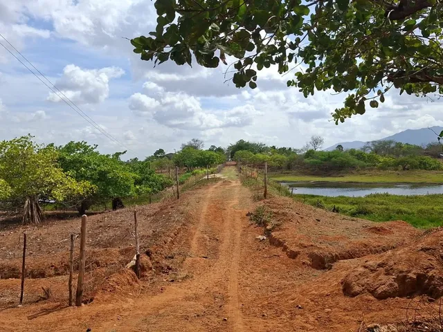 Imagem: Fazenda com 30 ha, toda estruturada e auto