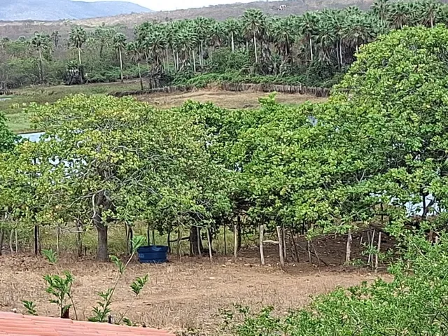 Imagem 2: Fazenda com 30 ha , toda estruturada e auto sustentavel (agronegocio/ energia so