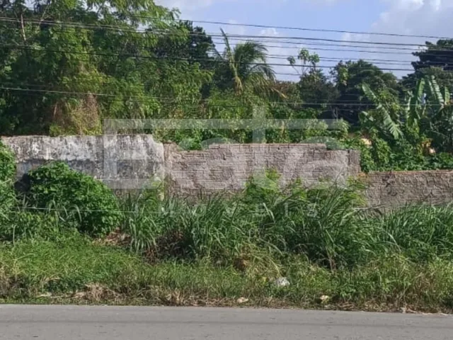 Imagem: O terreno possui 800m² de Área e está localizado em Olho