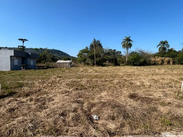 Imagem: Terreno plano localizado no bairro Aliança