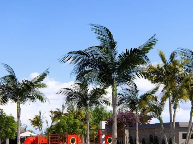 Imagem 16: Sollara Garden - Barra Mansa