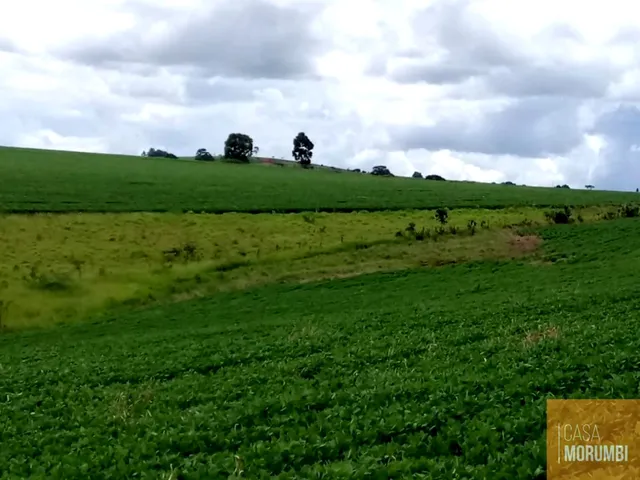 Imagem: Fazenda à venda em Sacramento-MG 483,44