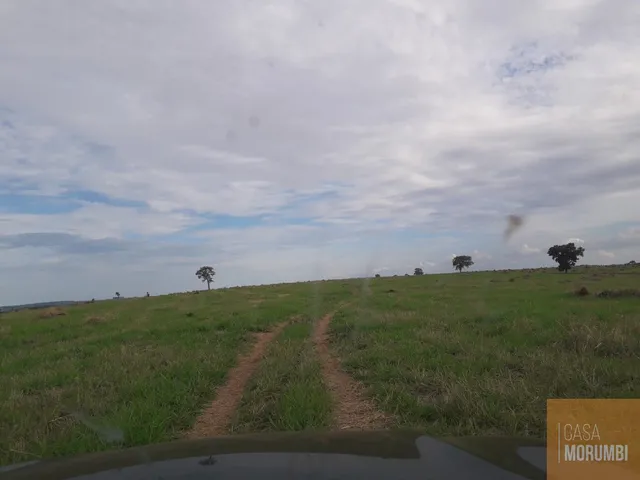 Imagem: Fazenda de 940 hectares à venda em São