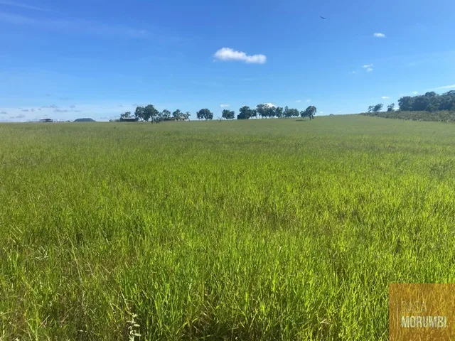 Imagem: A fazenda possui 1 Dormitório, 2 Banheiros, 183m² de