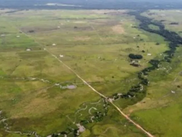 Imagem: Fazenda à Venda em Viseu-PA 3.653 hectares