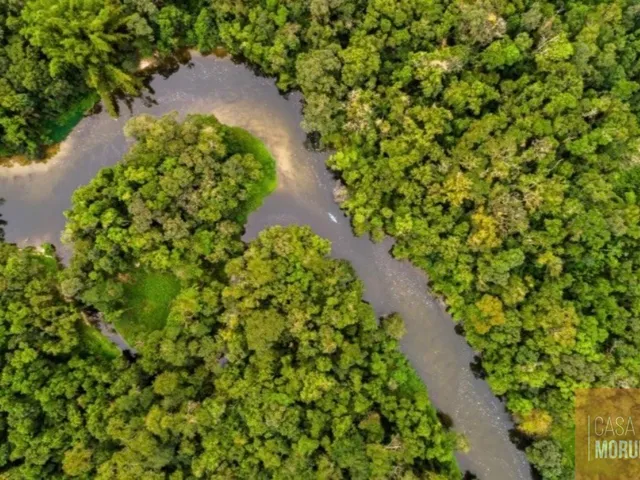 Imagem: Oportunidade única! Área de 116.600 hectares