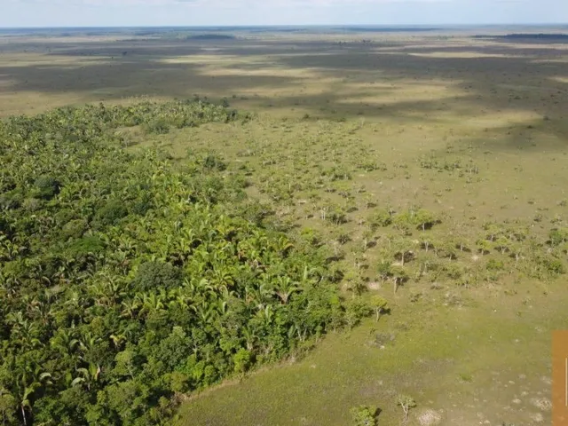 Imagem: FAZENDA A VENDA 10.500 (DEZ MIL )HECTARES