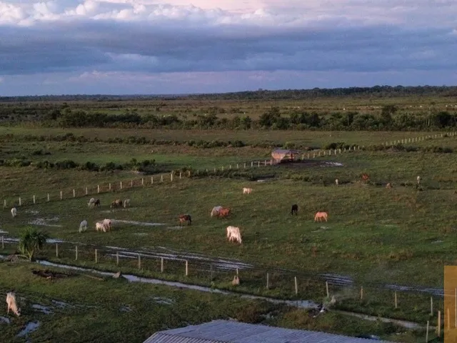 Imagem: Fazenda à venda em Amazonas-AM, 10.500