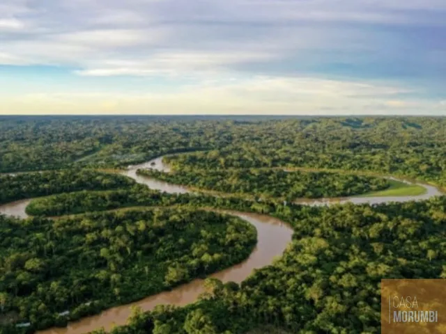 Imagem 1: Área à venda em Amazonas - Crédito de Carbono 5.747ha de área - Oportunidade