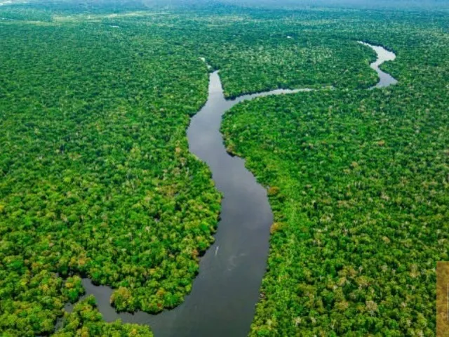 Imagem: FAZENDA A VENDA NA AMAZONAS DE AREA TOTAL