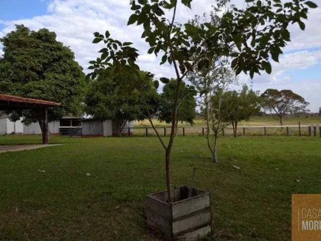 Imagem: Fazenda à venda em Bataguassu-MS 621 alqueires