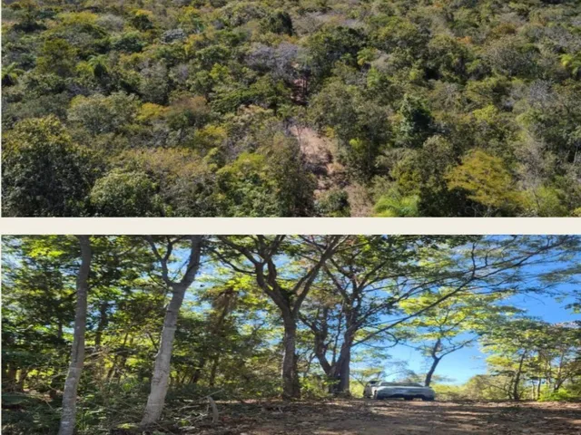 Imagem 3: Fazenda com 4.867,00 hectares em TO: Oportunidade Imperdível!