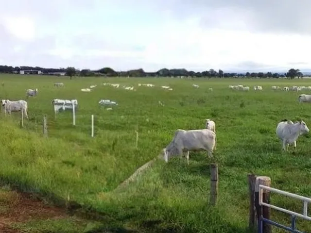 Imagem: Fazenda à venda em Nova Alvorada-MS 2.046