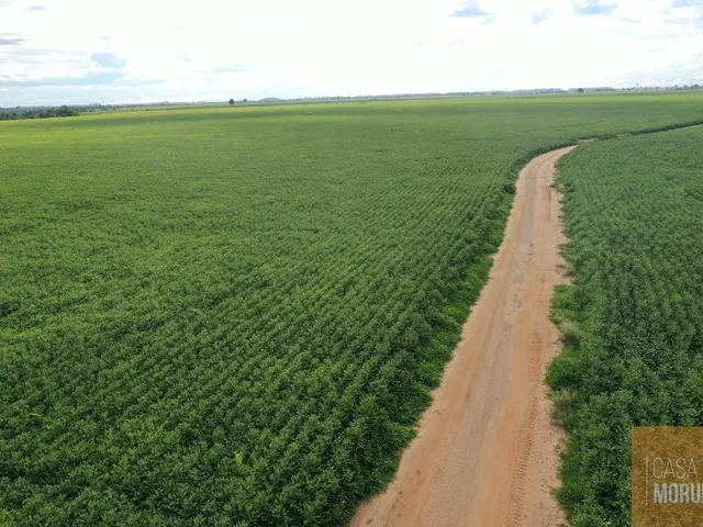 Imagem: Fazenda à venda em Nova Andradina Mato