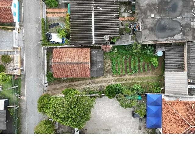 Imagem: Terreno Lote para venda em Florianópolis